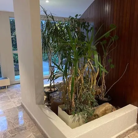 Buttes Chaumont Refait A Neuf * Paris